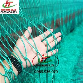 Lưới cước giàn leo cây