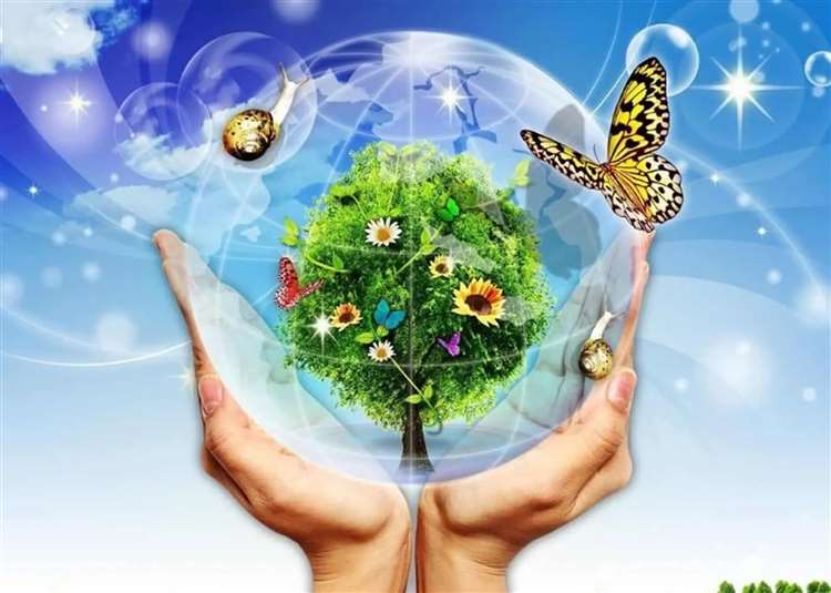 Thành phần chính của không khí là gì? Kiến thức cơ bản cần biết